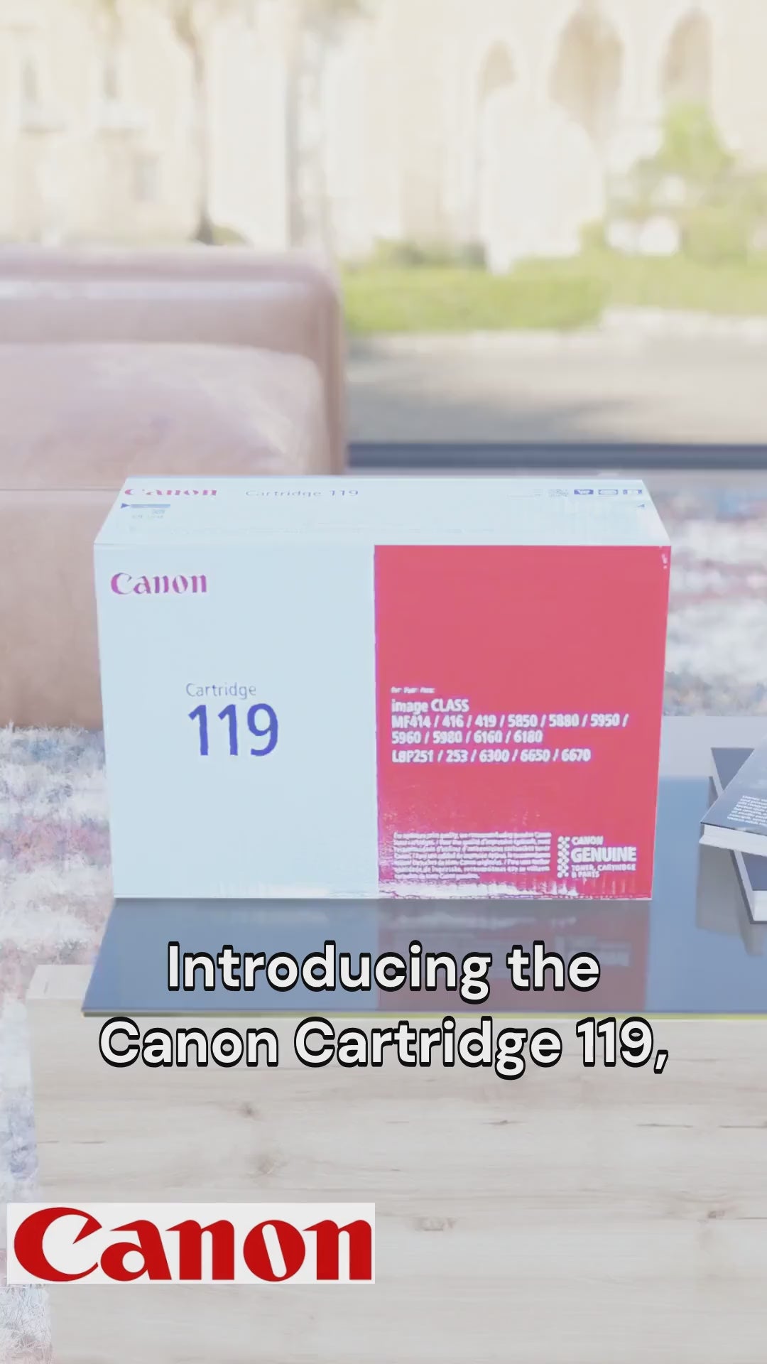 Cartridge 119 SKU 3479B001