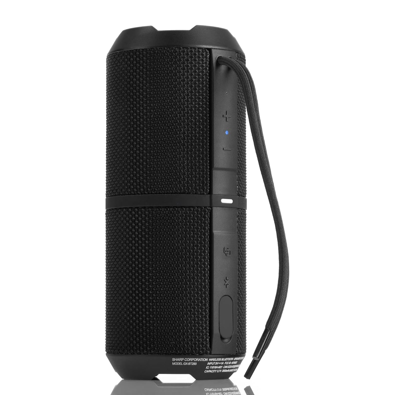 Sharp GX-BT290-BK Crystal Clear Series Portable Bluetooth Speaker - 32W, IP67 Waterproof with RGB Lights, Black